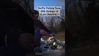 Creek Crappie Limits of SALBS‼️ creekfishing crappiefishing bankfishing kayakfishing [upl. by Ahsasal]