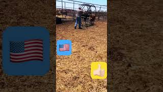 never underestimate a bull music ironman western unitedstates cowboy bulls likeandsubscribe [upl. by Boynton]