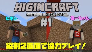 【ヒギンのマイクラ】1 二分割で協力プレイ！任天堂スイッチ [upl. by Ardnikal]