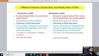 Denaturation vs Renaturation [upl. by Oyek]