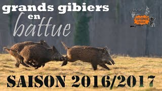 chasse du grands gibiers en battue COMPILATION 20162017 [upl. by Patricio892]