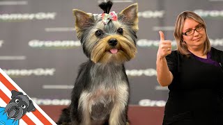 First Grooming For Puppy  Yorkshire Terrier Funny [upl. by Tnahsin362]