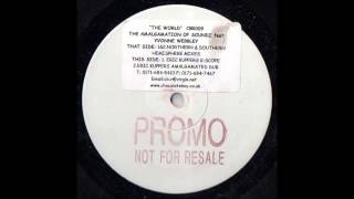 1999 The Amalgamation Of Soundz feat Yvonne Webbley  The World Eric Kupper Amalgamated Dub RMX [upl. by Pelmas]