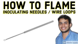 HOW TO FLAME INOCULATING NEEDLES  WIRE LOOPS [upl. by Severson676]