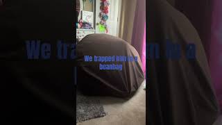 Michael gets trapped in a beanbag [upl. by Sucramd]