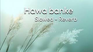 Hawa banke  Slowed amp Reverb [upl. by Easton]