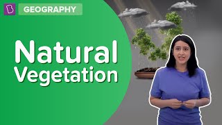 Natural Vegetation  Class 8  Geography  Learn With BYJUS [upl. by Helli]