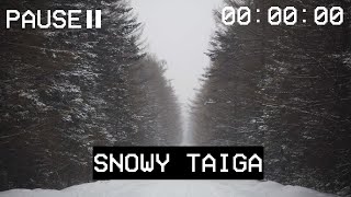 Snowy Taiga  눈 덮인 숲 Motherland Remembers Forever JUCHEWAVE [upl. by Jennie]