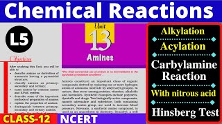 L5 Chemical Reaction of Amines Acylation of Amines  Hinsberg Test Carbylamine Reaction  Class 12 [upl. by Ennaeilsel]