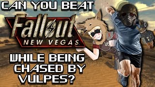 Can You Beat Fallout New Vegas While Being Chased By Vulpes [upl. by Ettener426]