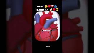 Akka thambi pasam WhatsApp status Full screen 🤗 Me and Akka Bond 🥰♥️ Beautifull BOND Ever Ns edits 🥰 [upl. by Sekyere]