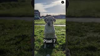 Samsung S21 FE vs Google Pixel 7 Camera Comparison [upl. by Jehiel367]