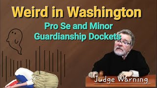 Weird Washington  Pro Se  Guardianship  Judge Warning whereisemmaryan [upl. by Emiatej]