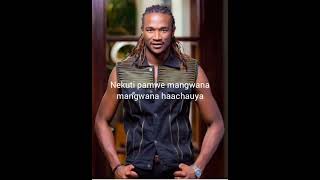 Jah prayzah Teya mariva lyrics [upl. by Chard942]