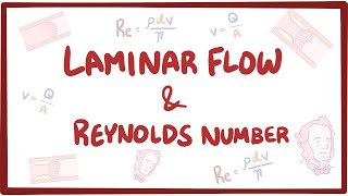 Laminar flow turbulence and Reynolds number [upl. by Hadrian]