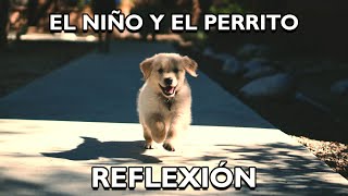 REFLEXIÓN EL NIÑO Y EL PERRITO reflexiones diarias pensamientos positivos mejor persona [upl. by Ecilahc]