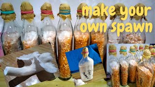 Guide on how to make grain spawn through direct tissue culture [upl. by Sawyere]