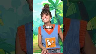 Jungle Song 🐆🐒 Sing and Learn with Birdie toddlermusic preschoolmusic toddlerlearning [upl. by Anivram]