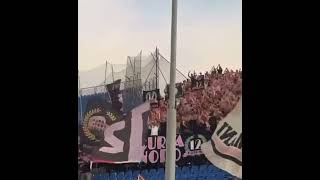 Curva Palermitana in azione  BresciaPalermo 16 agosto 2024 [upl. by Cantlon]