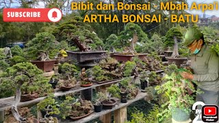 ARTHA BONSAI  BATU 1 [upl. by Ecerahc447]