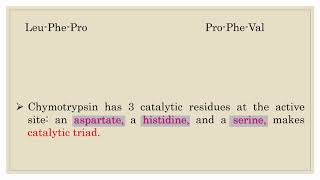 Mechanism of Action of Chymotrypsin [upl. by Stoll525]