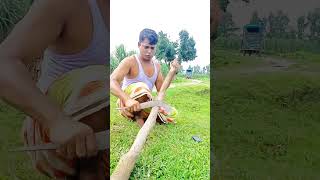 গাঁদায় কি করে  What does marigold do Funny Video funny trivia comedy generalknowledge [upl. by Uphemia]