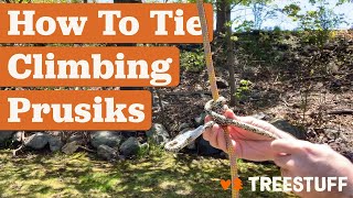 How to Tie Tree Climbing Prusiks  TreeStuff [upl. by Dyana]