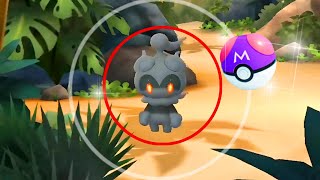 🤯 Gofest 2024 unreleased mythical MARSHADOW [upl. by Ynnus]