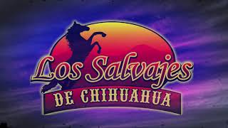 Los Salvajes de ChihuahuaFalso Amor Feat Chon Aranda del Conjunto Rio Grande Letra Oficial [upl. by Eras943]