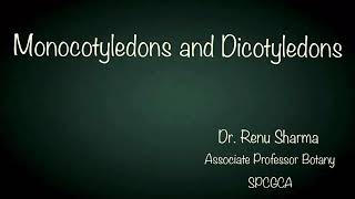 Monocotyledons and Dicotyledons  Dr Renu Sharma [upl. by Bully]