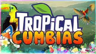 CUMBIAS TROPICALES PARA BAILAR 2024📀✨CUMBIAS VIEJITAS TROPICAL💖🌴ACAPULCO TROPICAL TROPICAL FLORIDA [upl. by Kaufman]