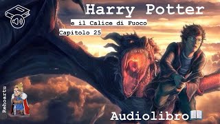 Harry sconfigge il drago  Harry Potter e il calice di fuoco [upl. by Cicenia]