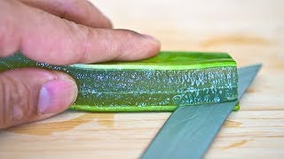 How To Make Thick Aloe Vera Gel At Home  Store for 4 to 6 Months  DIY Aloe Vera Gel [upl. by Anirda]