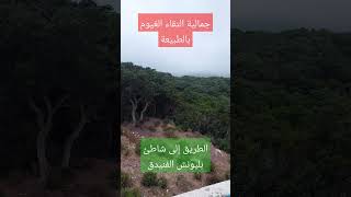 روعة التقاء الغيوم بالطبيعة [upl. by Brod]