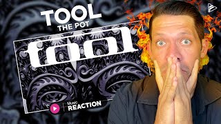 RAP FAN REACTS TO TOOL  The Pot Reaction [upl. by Siriso]