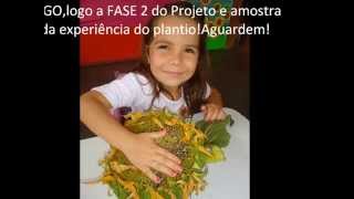 PROJETO PRIMAVERA O GIRASSOL Educação Infantil [upl. by Attalanta]