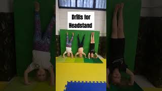 How to do headstands from beginners  advanced openmindgymnastricks shorts learning how [upl. by Nynnahs]