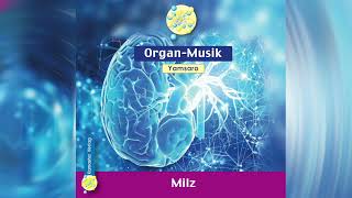 Milz Organ Musik 30 Sek [upl. by Nahsin]