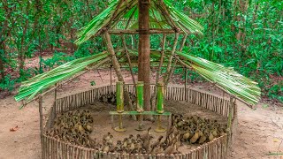 Build the most amazing Duck House with AUTOMATIC Duck Feeder for Baby Wild Ducks [upl. by Elaval]