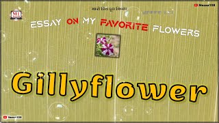 Gillyflower Flower  Essay On Gillyflower Flower Favorite Flower Gillyflower  Gillyflower Benefits [upl. by Lesslie]