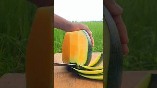 cool yellow watermelon cutting satisfying fruitcutting [upl. by Llabmik]