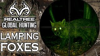 Night Vision Fox Shooting Hunting with Lamping Foxes [upl. by Ahsuat]