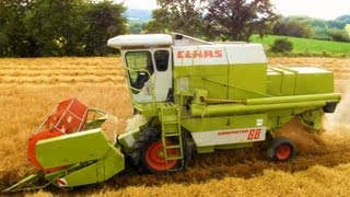 HD Wintergerste dreschen mit Claas Dominator 68 Sound [upl. by Sirod]