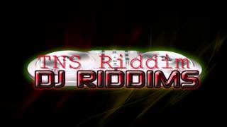 TNS Riddim 2012  Mavado Popcaan I Octane [upl. by Nwahsyd351]