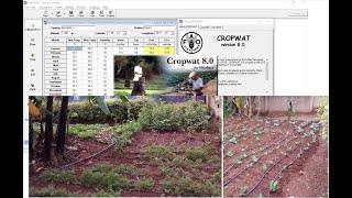 CROPWAT 80 SOFTWARE EXPLAINED [upl. by Nahttam171]