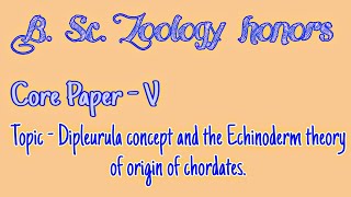 Dipleurula concept and the Echinoderm theory of origin of chordates [upl. by Jankell]