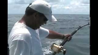 300 pound yellowfin tuna [upl. by Alcine]