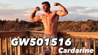 My Experience On GW501516  Cardarine  SARMs Review [upl. by Alyar]