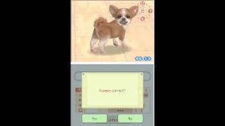 Nintendogs w Ardy  Part 1 quotPepe is a horrible horrible animalquot [upl. by Marcelline]