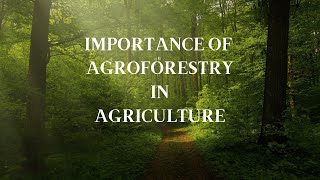 Importance of Agroforestry System in Agriculture [upl. by Einafpets]